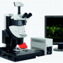 荧光立体显微镜